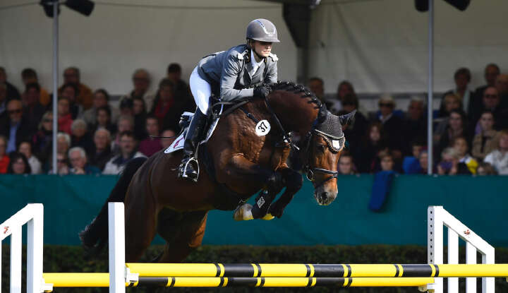 landgestuet celle derby community teaserbild